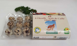 Ferme de la Paumerais - OEUFS FRAIS DE CAILLE - Boite de 18 œufs - (2 boites)