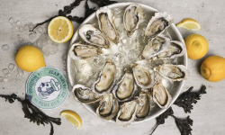 Les Huîtres du Père Gus - Huître Fine - La Coutainvillaise numéro 3 (moyennes) -x 15 kg