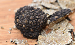 Truffes des Roches - Truffe d'été fraîche FRANCE - 50g