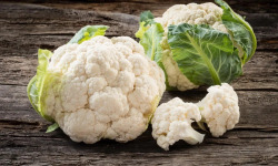 Nature et Saveurs - Ferme Aquaponique et Permacole Astérienne - Chou-fleur – finesse blanche et grain serré