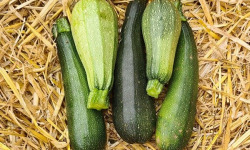 La Ferme de Goas Per - Courgette Bio - 1500g