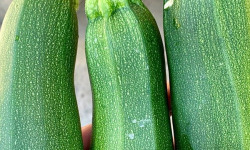 ChâteauFer - Courgette Primeur 1kg