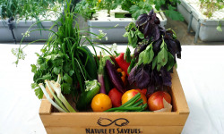 Nature et Saveurs - Ferme Aquaponique et Permacole Astérienne - Petit Panier de légumes astériens