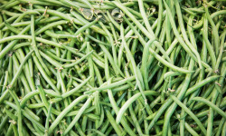 Maison Argentain - Haricots Verts - 900g