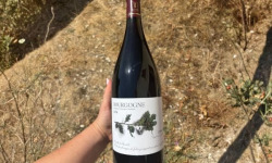 Domaine Céline Coté - Bourgogne Julia 2023 Magnum