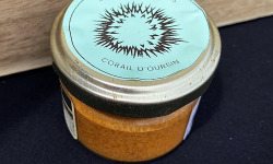 L'atelier Sea Frais - Corail d'oursin