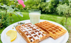 Ferme Sereine en Périgord - lot de 12 GAUFRES recette de BRUXELLES, déjà cuites, surgelés