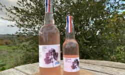 Ferme Sinsac - Pétillant de Shiso (perilla pourpre) 75 cl