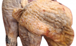 Les Volailles de la Garenne - Cuisses de pintade x4