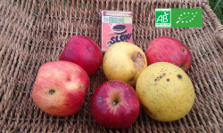 LES JARDINS DE KARINE - POMMES à transformer en mélange-1kg