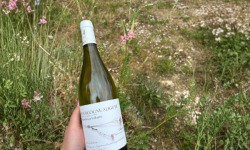 Domaine Céline Coté - Bourgogne Aligoté 2025