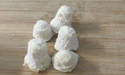 Ferme de Chavenne - Crottines au lait de chèvre x 10