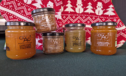 CLAC Conserverie - Pack Noel spécial fêtes ! x5