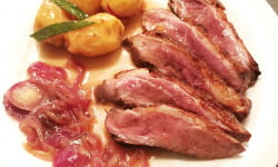 Aquaprawna Traiteur - Magret De Canard Au Miel, Vin Blanc Et Oignons Rouges