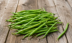 Nature et Saveurs - Ferme Aquaponique et Permacole Astérienne - Haricots verts fins (calibre 6,5–9 mm)