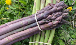 Asperges Guirao - Asperges pourpres - 500g - Tout calibre