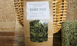 La Cabane à plantes - Infusion Basilic Tulsi