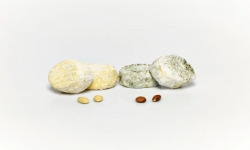 Fromage Gourmet - Fromage fermier de la Loire - Lot de 12