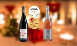 Domaine de la Chopinière du Roy - Coffret Saint Valentin - Vin de Loire Rouge et Rosé pétillant - 2 x 75 cl