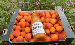 Délit de Gourmandise - Lot 3,5kg Abricots Bio et 75cl de Nectar Abricots Bio