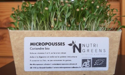 Ma Micropousse culinaire - Micro pousses de coriandre Bio 8 barquettes