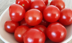 Gourmets de l'Ouest - Tomates coktail de Saint-Malo - 500g