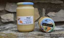 La Truite du Mézenc - Miel de Lavande crémeux - 500g