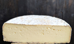 Elevage de Cochons en Forêt et Produits du Terroir Jurassien - Tomme des Loutons au lait cru - demi tomme