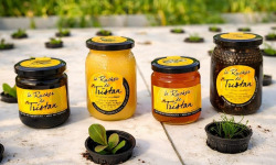 Nature et Saveurs - Ferme Aquaponique et Permacole Astérienne - Miel de tournesol du Périgord