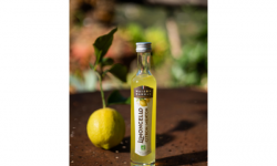 Maison Gannac - Limoncello Bio au Citron de Menton - 10 cl