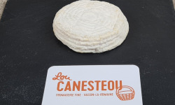 Lou Canesteou - Petit Albion brebis