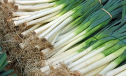 La Ferme de Milly - Anjou - Poireaux 10kg