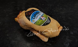 Boucherie Charcuterie Traiteur Lionel Ghérardi - Canette de Barbarie – 1500g
