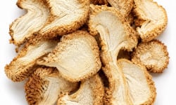 Naturélium - Lion's Mane déshydraté BIO — Crinière de Lion