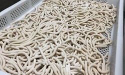 Lioravi, l'authentique pâte fraîche ! - [Précommande] Pâtes Fraîches - Udon - 1kg