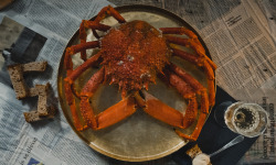 Thalassa Tradition - Araignée de Mer Cuite Normandie - 1 kg