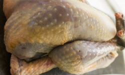 La Coussoyote - Pintade fermière entière - 1,7kg