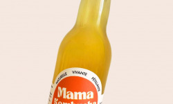 Mama Kombucha - Lot de Kombucha Jo and Jo 12 X 33cl - Kombucha Curcuma, Gingembre, Fleur D'oranger