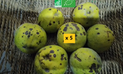 LES JARDINS DE KARINE - Coing à transformer - 5kg