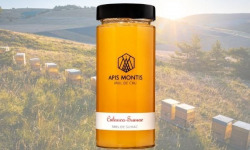 Apis Montis - Calanco Sumac - Miel de Sumac - 60x40g