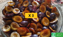 LES JARDINS DE KARINE - Quetsche violette en quartier surgelée - 3kg