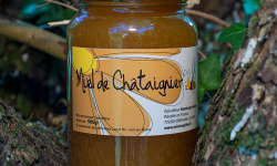 Ferme de la Paumerais - MIEL DE CHATAIGNIER (x1) - 500 Gr