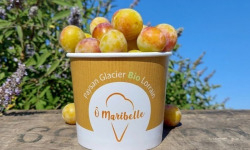 O Maribelle - Mirabelles IGP de Lorraine - BIO - 5kg