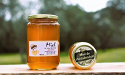 La Truite du Mézenc - Miel de rhododendron 500g