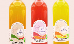 Mama Kombucha - Mama Kombucha – Coffret Découverte (3 x 70cl) – Boissons fermentées artisanales bio