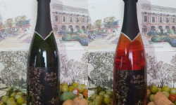 Cave Creuzet - Les Caves aux Caux - Découverte Vins pétillants "Bulles Antiques" Blanc et Rosé Lot de 6
