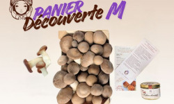 Les Myconautes - Panier Myconautes champignons bio - Taille M