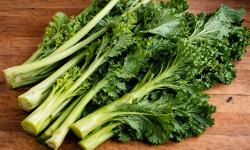 Nature et Saveurs - Ferme Aquaponique et Permacole Astérienne - Rioja – Hampe et Feuille