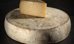 Les Affineurs des Volcans - Tomme Fermière Marcel Charrade | Entier env. 5 Kg