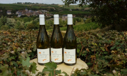 Domaine Doudeau-Leger - Vent d'Ange - Vin de Pays du Val de Loire Blanc IGP 2023 - 3 Bouteilles